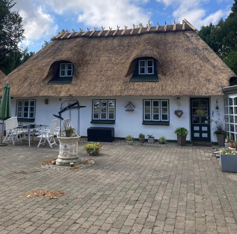 Skovlyset'S B&B Juelsminde  Exterior photo